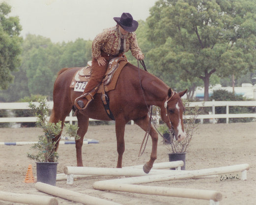 frodsham_farm_professional_horse_training_norco_ca010010.jpg