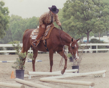 frodsham_farm_professional_horse_training_norco_ca018014.jpg